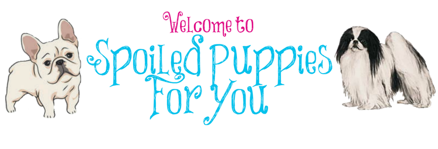 Spoiled Puppies For You - The home of adorable Japanese Chin and French Bulldog puppies