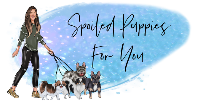 SPOILED PUPPIES FOR YOU - THE HOME OF ADORABLE JAPANESE CHIN AND FRENCH BULLDOG PUPPIES